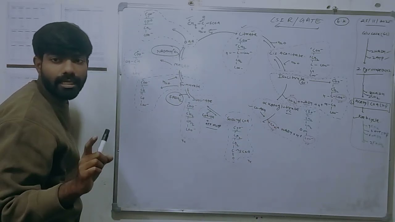 TCA Cycle Full Concept + Memory Tricks  B.Pharm  | Tricks + PYQs | GATE XL & CSIR NET Preparation