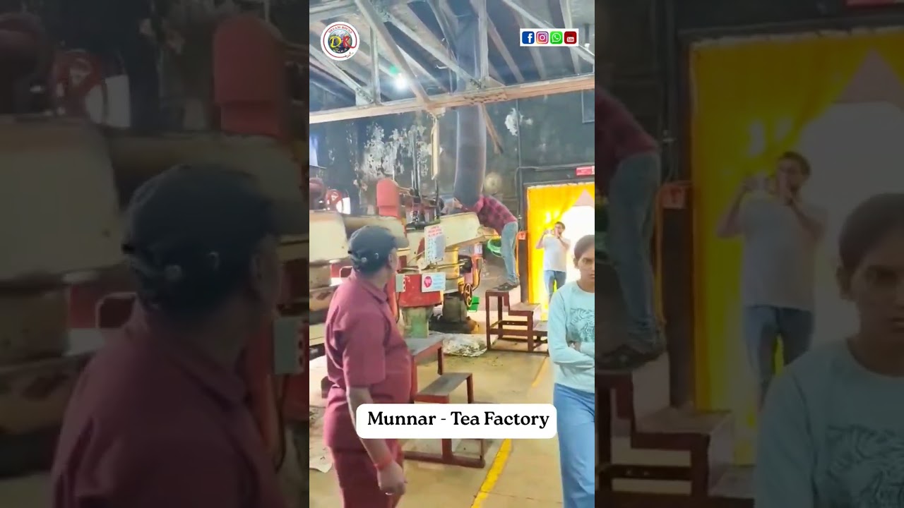 Inside the heart of Munnar's tea production.