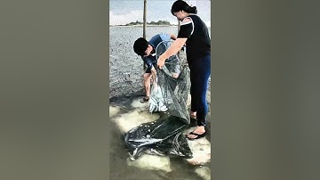 Bao Đăng Vung Tau Hôm Nay 20/9/2024 Thủy Triều Rút Bắt Cá Lúc 7h sáng và 19h tối