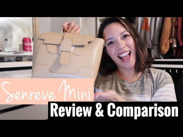 My Polene Bag Review: The Numero Un Mini - by Kelsey Boyanzhu