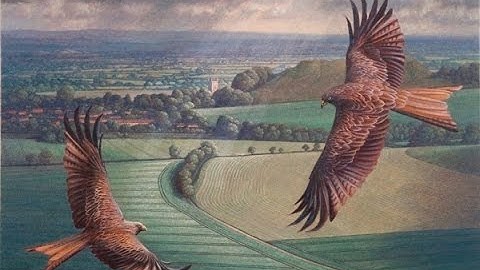 Harold Darke : Fantasy in E Major. James Lynch : Paintings.