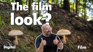 Can Digital Ever Feel Like Film