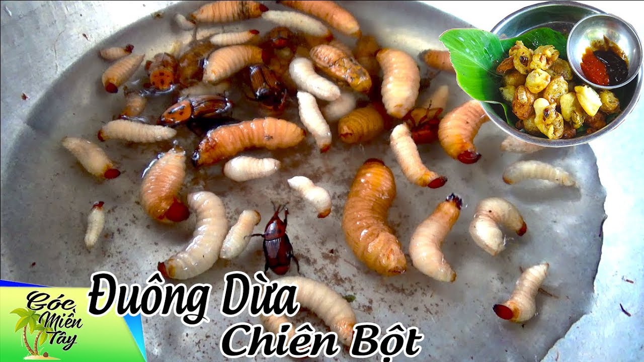 Con Đuông Dừa Chiên Bột | Đặc Sản Của Bến Tre | Góc Miền Tây | Gmt Tập 37 -  Youtube