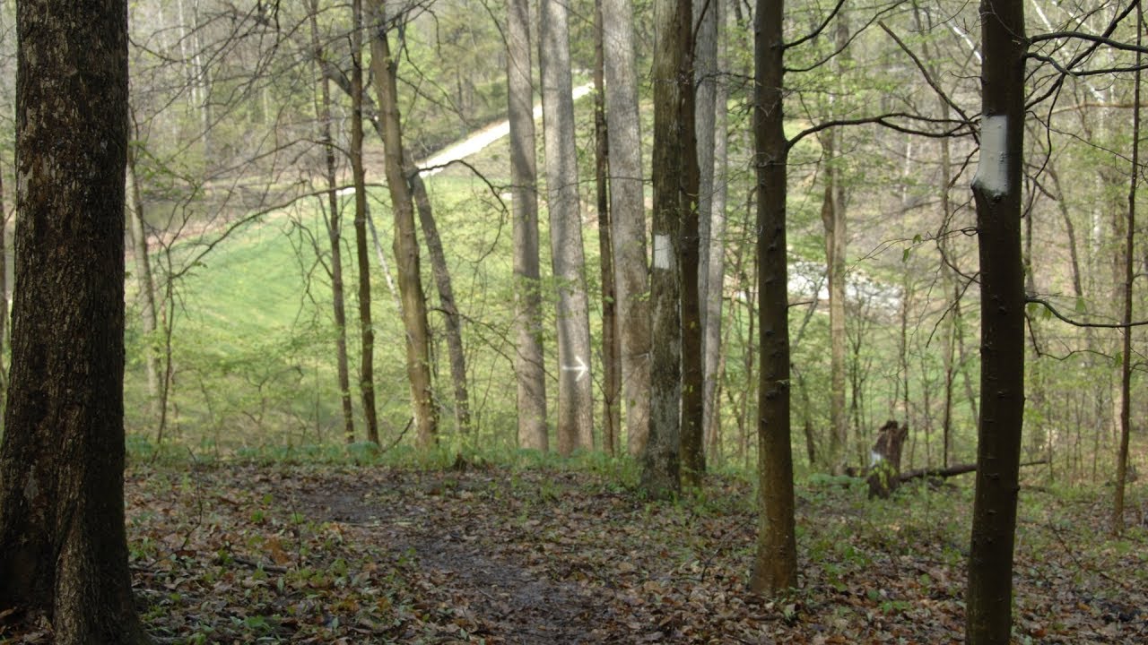 hunting simulator Yellowwood Q&A - Tecumseh Trail