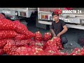 РОССИЯ УСТАЛА: Терпение лопнуло! Начались массовые ДЕПОРТАЦИИ мигрантов
