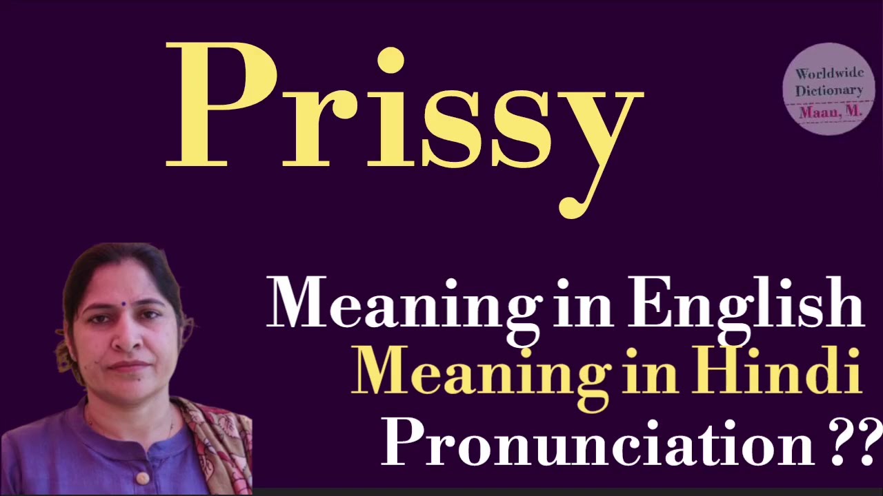 prissy meaning l meaning of prissy l prissy ka hindi mein kya matlab hota hai l vocabulary 