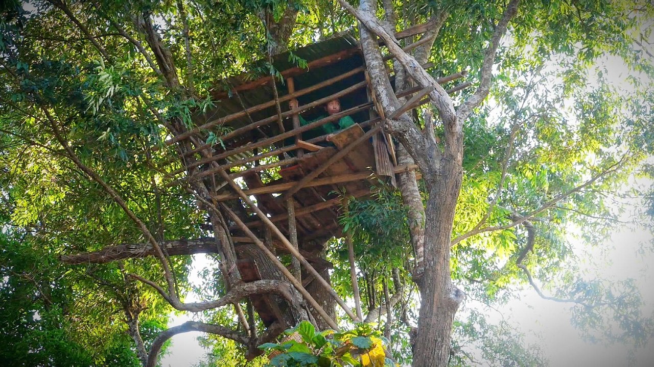 นอนห้างเฝ้าเสือไม่ค่อยหลับ เสียงลูกวัวร้องหาแม่ทั้งคืน