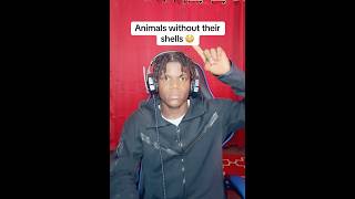 Animals without their shells 😳 #fypage #fyp #fypyoutube #fypシ #viral #viralshorts #animals #youtube