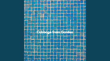 Distinguished Backdrops for Moonlight Flashbacks