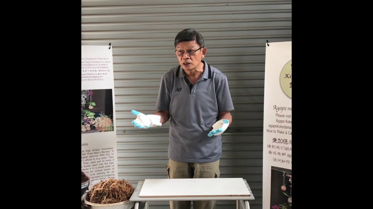 Kokedama Kingsize the new and easy way to make