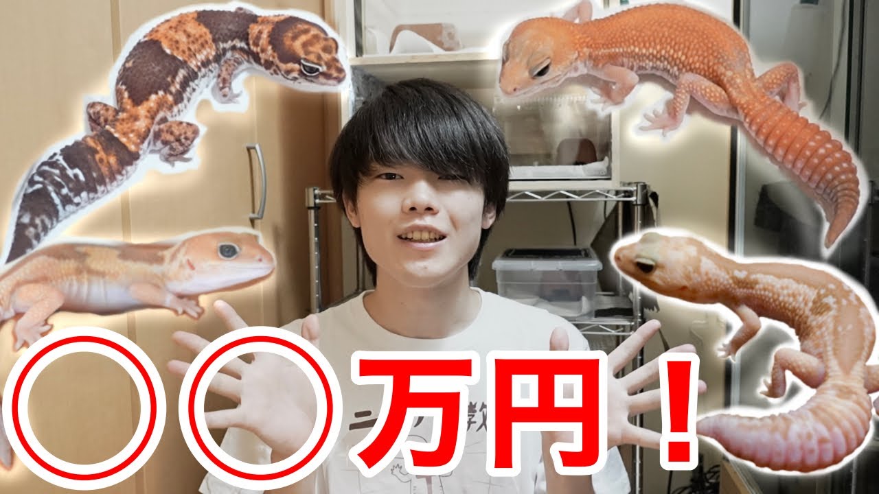 お迎えしたニシアフの総額◯◯万円でした、、、