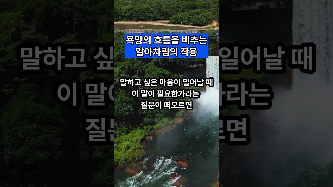 욕망의 흐름을 비추는 알아차림의 작용 #알아차림 #욕망 — Transcript