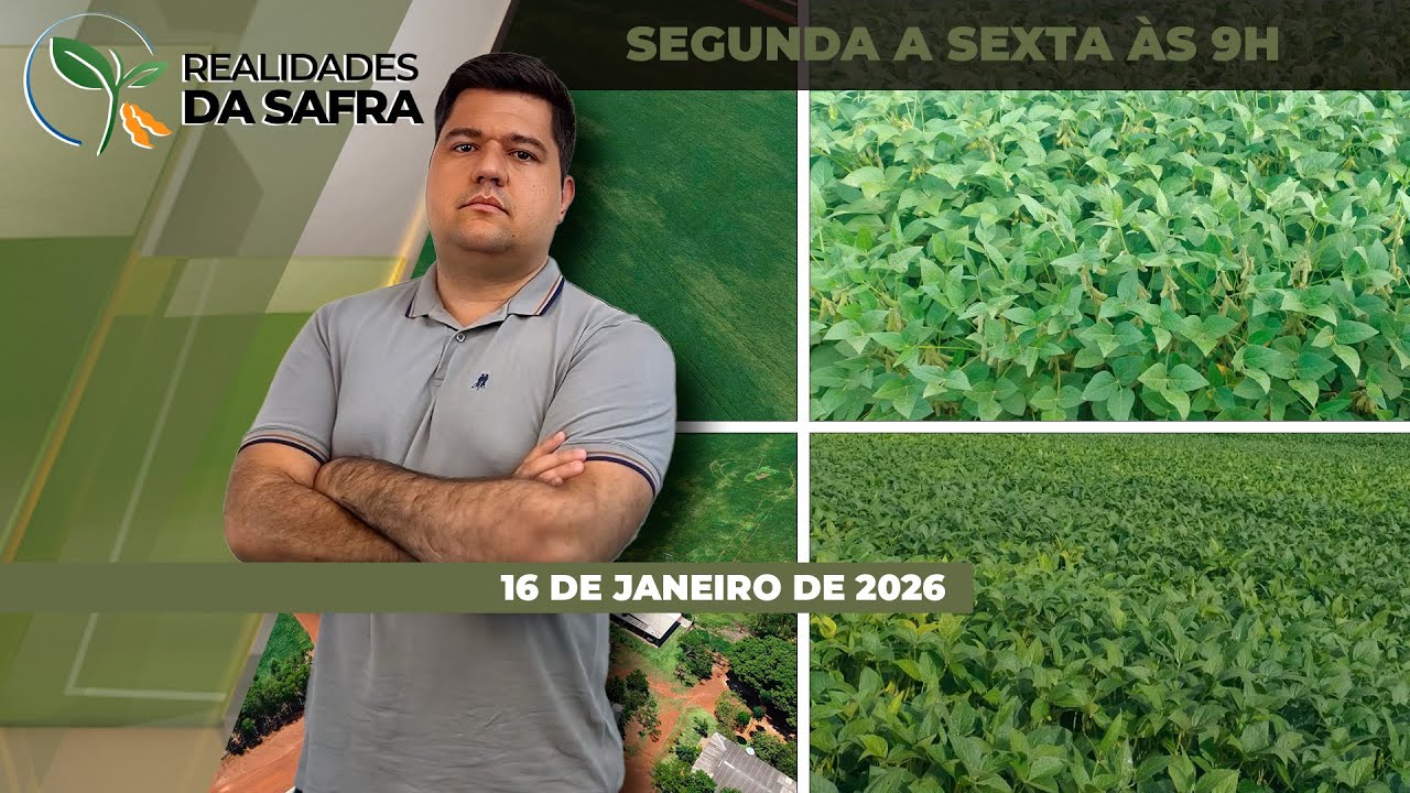 Casos de ferrugem começam a aparecer no Brasil e produtor precisa redobrar a atenção