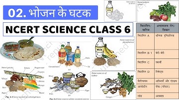 Components of Food | 02 | NCERT Summary Science Class 6 for CTET / DSSSB / UPTET / SSC / UPSC