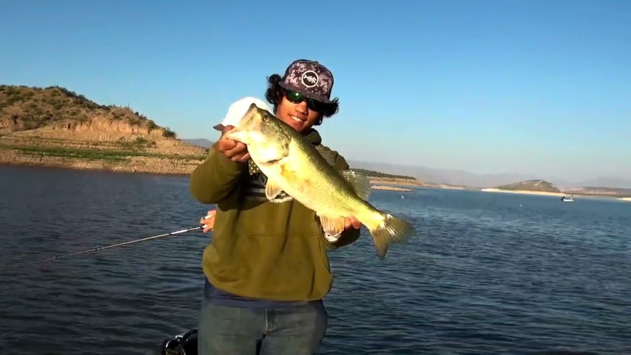 Veterans Day bass fishing Roosevelt/Apache lake