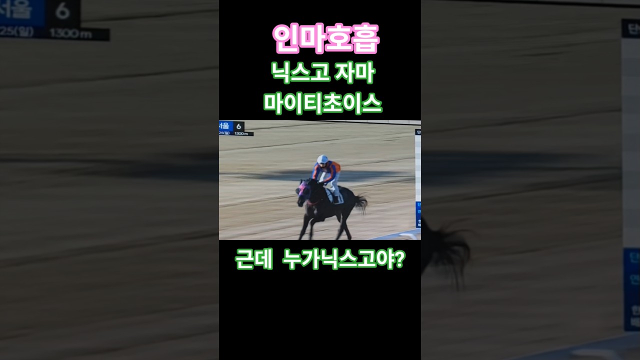 #신인기수 우인철 #경마 #말 #달려라말 #shrots #horse
