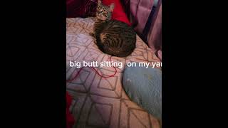 big butt