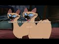 La Dama Y El Vagabundo - La Canción De Los Gatos Siameses (Latino) (Letra)