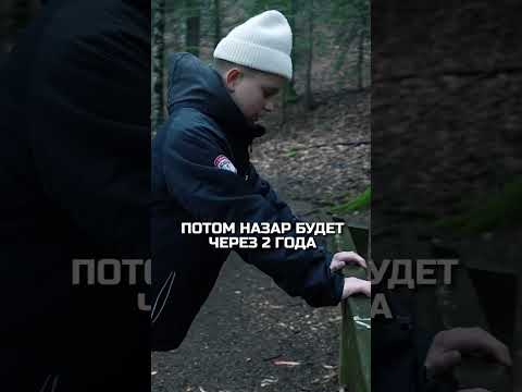 Как выглядит лес за школой #shortvideo
