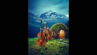 Misty Mountain - cello & double bass - Marin Musica 2024