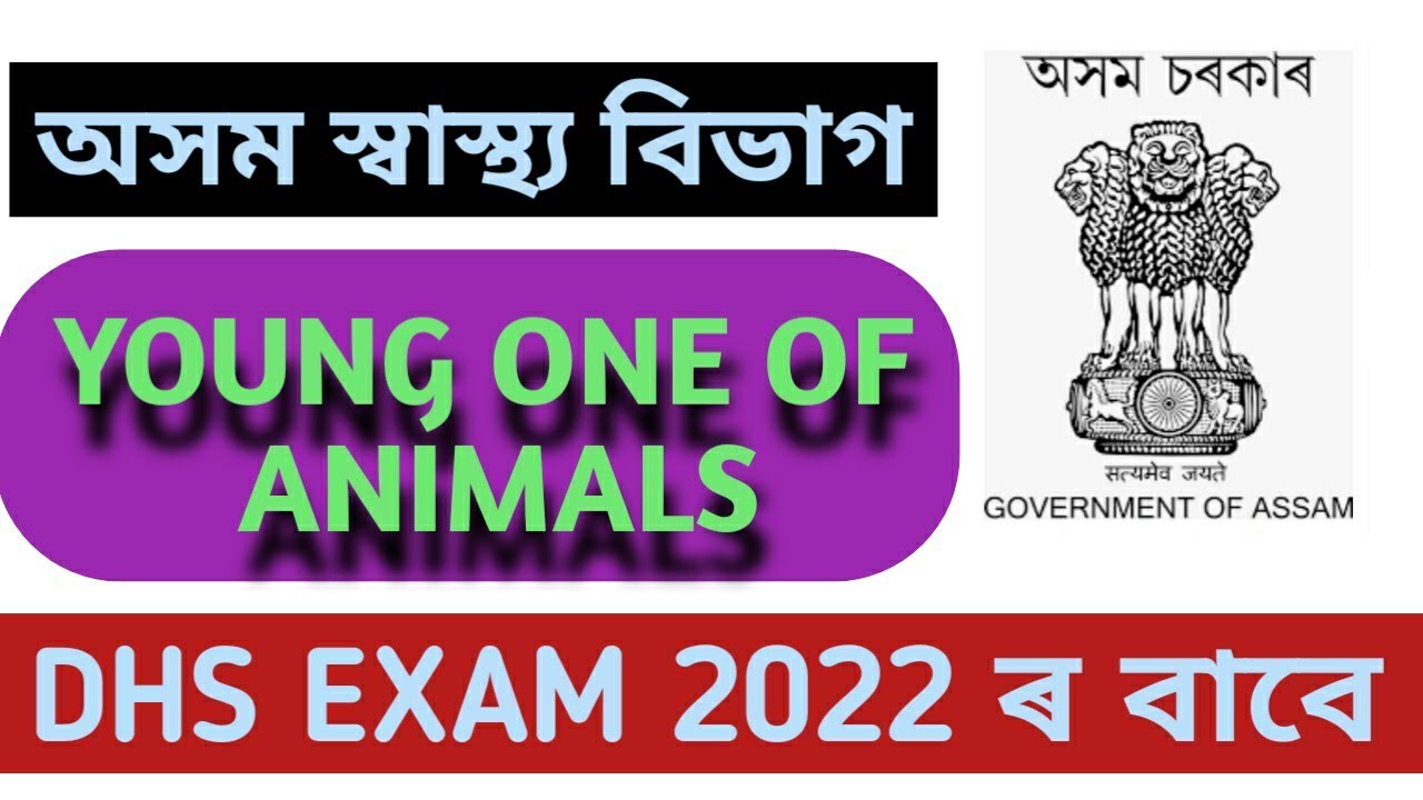 ENGLISH (YOUNG ONE OF ANIMALS) for DHS EXAM 2022 || DHS_EXAM_2022