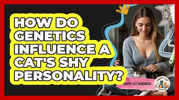 How Do Genetics Influence A Cat