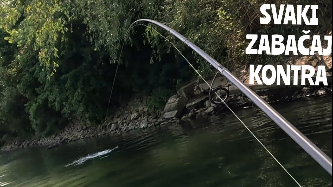 VARALIČARENJE U SAVSKIM PLIĆACIMA-SMUĐ,ŠTUKA,KLEN,PROTFIŠ,BUCOV