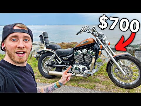 Suzuki Intruder BUDGET “Chopper” Build! (Phase 1)