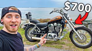 Suzuki Intruder BUDGET “Chopper” Build! (Phase 1)