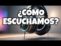 Los Oídos: Cómo Escuchamos el Mundo + 20 Curiosidades Fascinantes