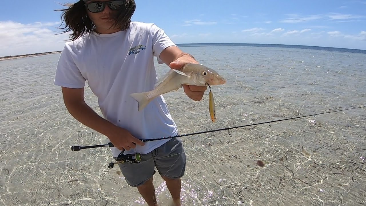 Whiting Fishing With Surface Lures YouTube