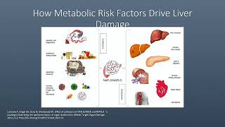 Fatty Liver | Jonathan Foster DO | Atlantic Regional Osteopathic Convention 2026 | Atlantic City, NJ
