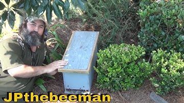 Shaking A Swarm Of Honey Bees