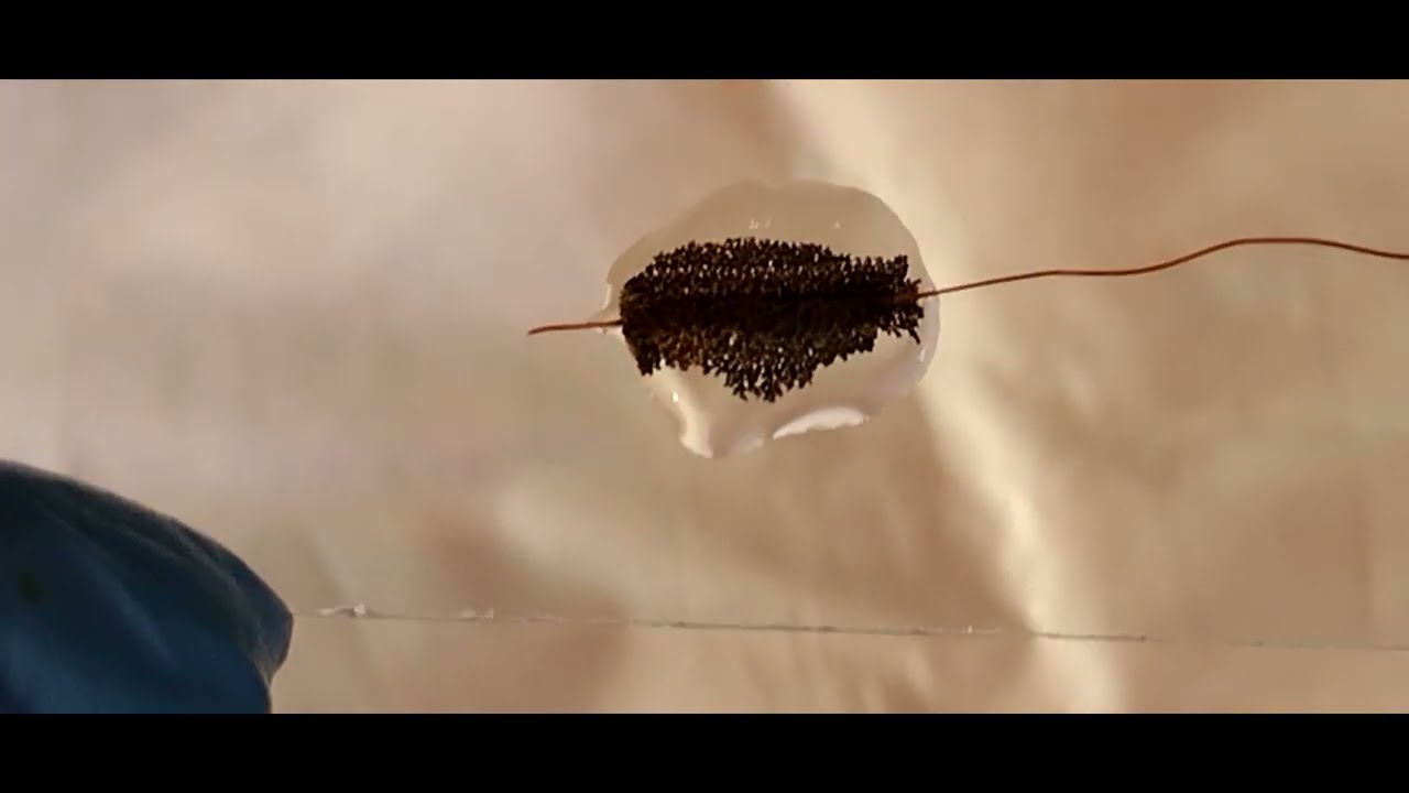 Reação de cobre e íons prata no microscópio.