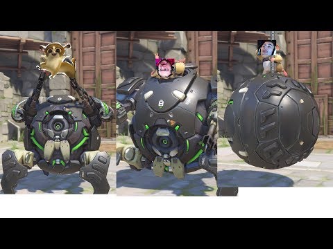 Alpha Hamster Blows Up Comp - Guess My Sr
