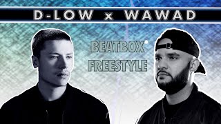 I BEATBOX ON D-LOW'S VIDEO!!! Tag team Video #4 ! (Beatbox Freestyle)