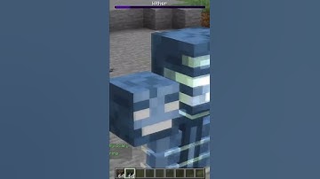 What happens, if you give the wither effect to the wither in Minecraft?