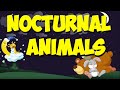 Nocturnal Animal Song