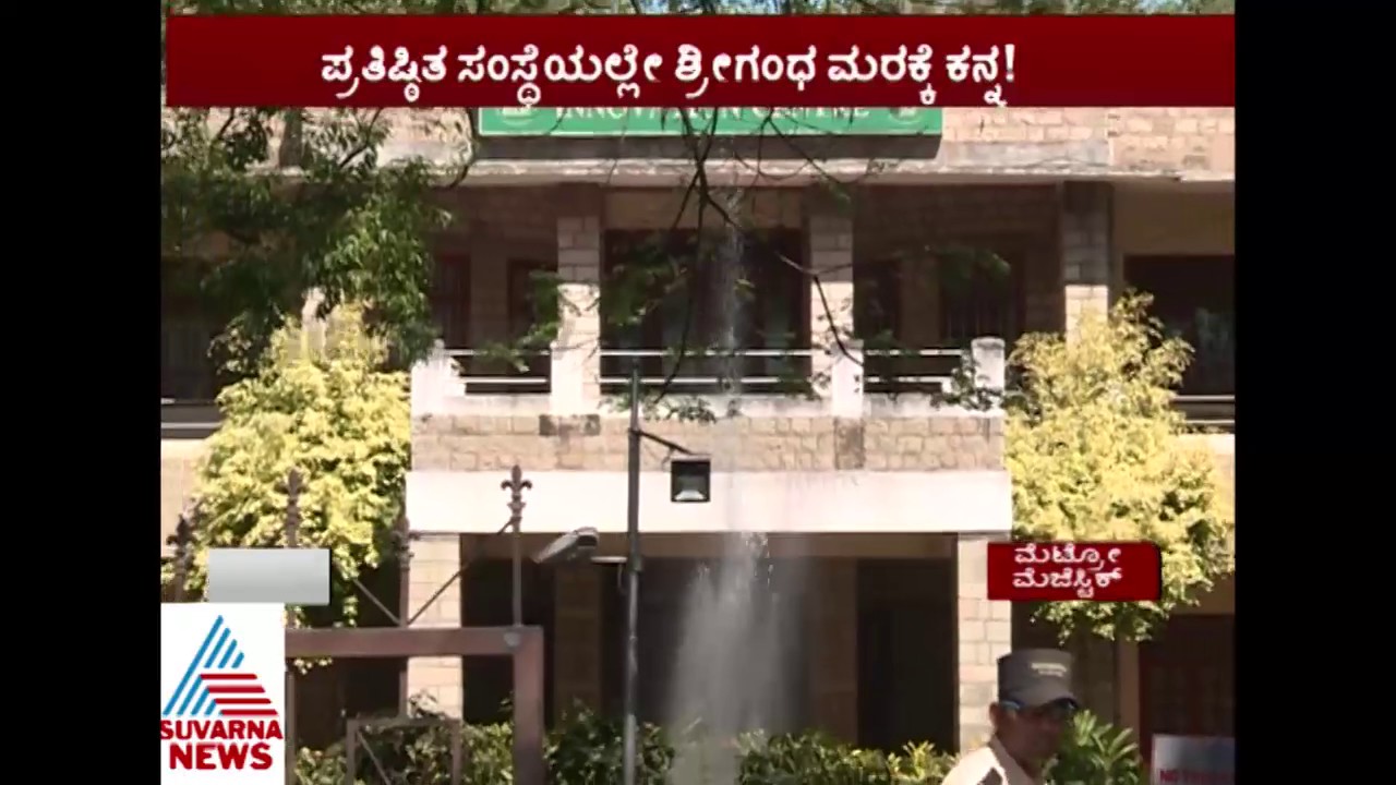 Theft For Sandalwood Tree At Banglore