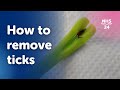 How to remove a tick