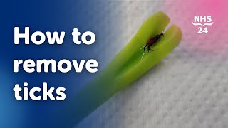 How to remove a tick