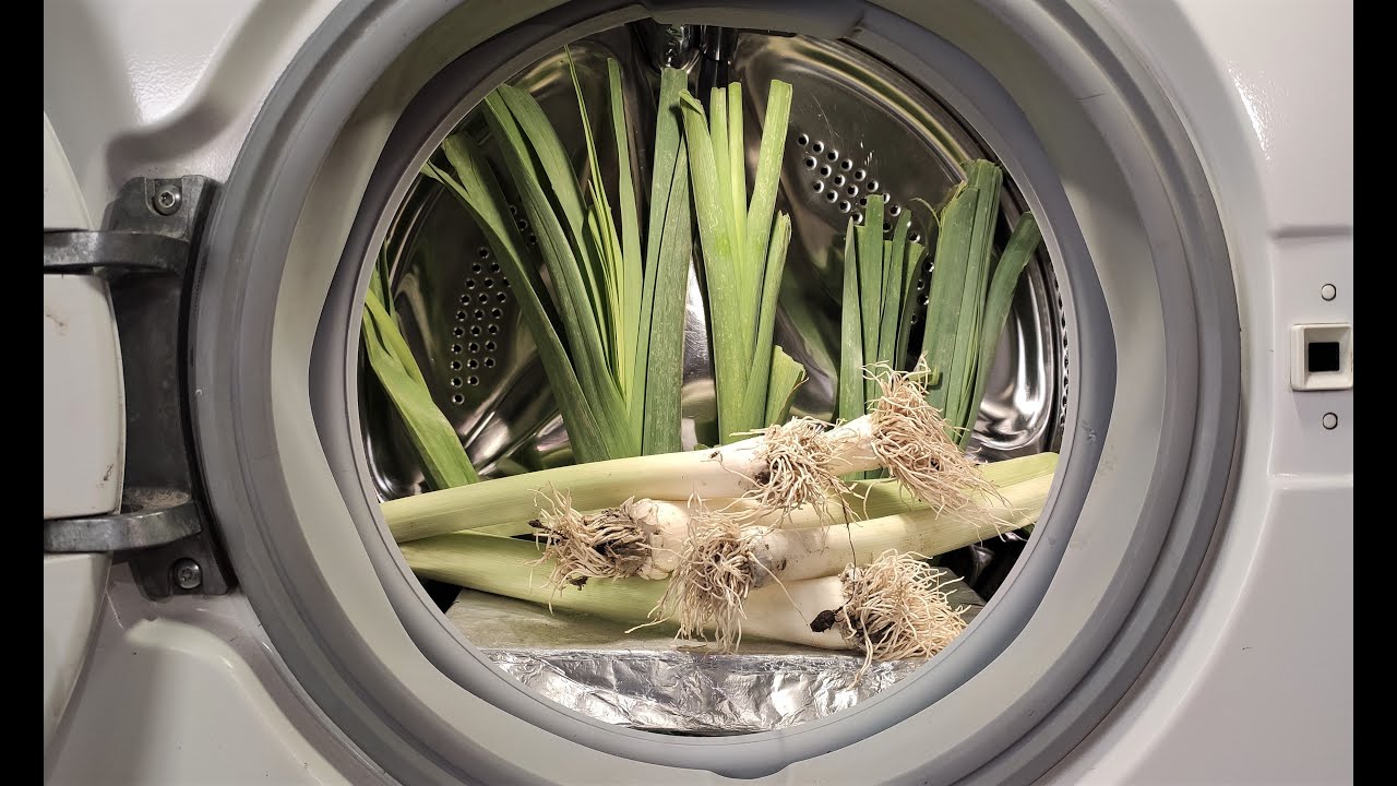 Experiment - Leek - in a Washing Machine - YouTube