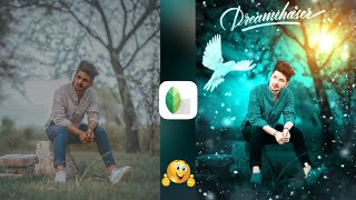 Snapseed Green And Bird Effect Photo Editing Tutorial | Snapseed Background Colour Change Tricks screenshot 3