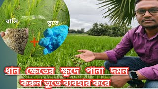 Download Lagu ধান ক্ষেতের ক্ষুদে পানা দমন করুন তুতে ব্যবহার করে Download Lagu ধান ক্ষেতের ক্ষুদে পানা দমন করুন তুতে ব্যবহার করে