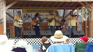 Blistered Fingers at Basin Bluegrass Festival 7 13 13