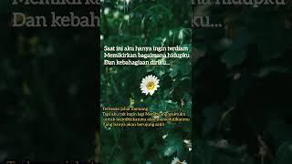 Katakata Mutiara  Memikirkan Kebahagiaan Diriku shots status story storywa storygalau