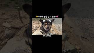 근데 오늘은 빠대서 냄새남^^ #shorts