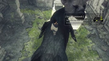 The last Guardian: Basic trico commands