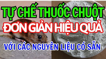 6 Cách Diệt Chuột Không Cần Thuốc Tại Nhà | Diệt Chuột Tận Gốc