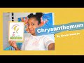 Chrysanthemum by Kevin Henkes | Read Aloud | Storytime